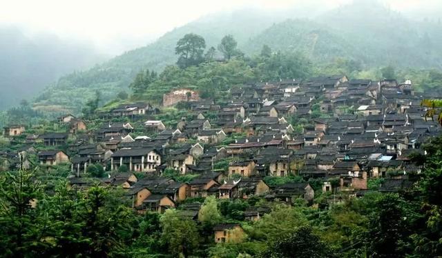 广州出发-清远赏秋2天游，欧家梯田，旅拍银杏林，瑶寨篝火晚会