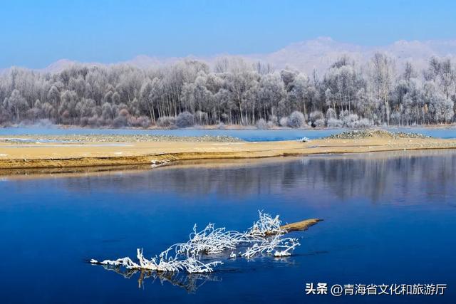 青海初冬：静谧藏诗意，温柔入画来