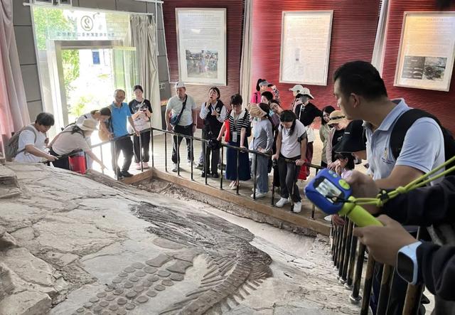 【聚焦世界第一高桥】跨越两亿年 邂逅“黄金三角”—花江峡谷大桥串联黄果树瀑布与关岭化石群构建旅游新高地