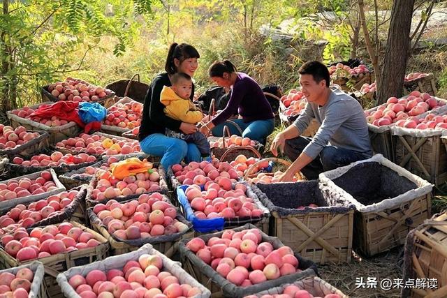 从洛杉矶到秋那桶，一条"斩杀线"，隔开两个世界