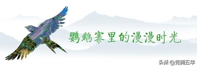 冬之云南 万羽衔霜｜新霞客·旅居记