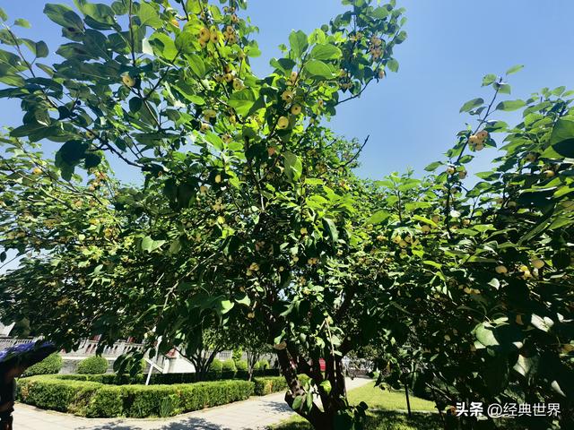 瞻仰周邓纪念馆