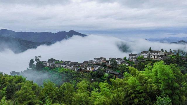 到山里去，8个森林环抱的好地方，过几天山居生活，回归纯粹