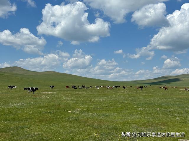 呼伦贝尔大草原不走寻常路，看最美的莫尔格勒河九曲十八弯