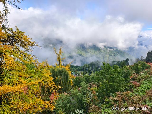 四川行(73)什邡红枫岭徒步到钟鼎寺