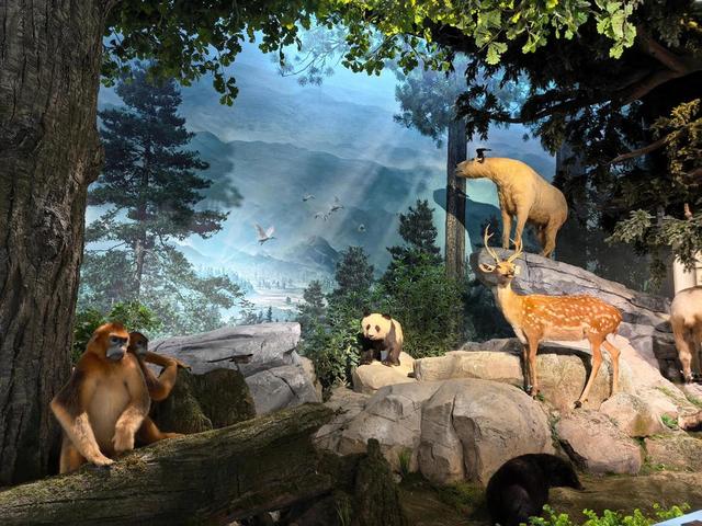 秦岭深处藏“地质史诗”！这座博物馆，藏着华夏龙脉的亿年密码