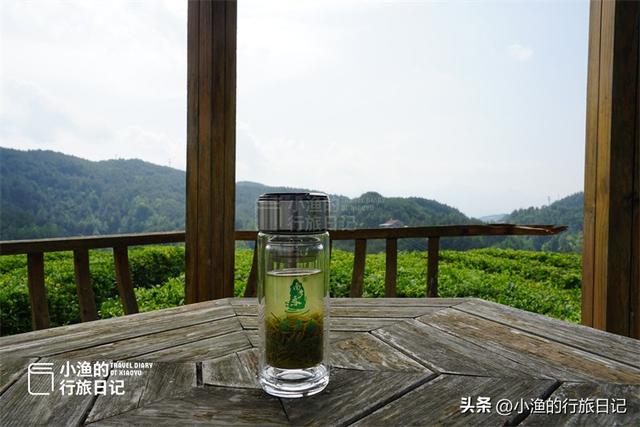 自驾210国道，飙到陕川交界！坠入绿野仙踪的秘境