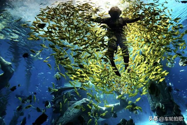 情暖重阳，与爱同游！