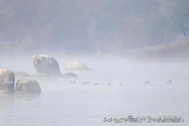 汉中汉江湿地晨景绝了！薄雾锁江，鸟戏江波，宛如仙境！