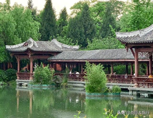 成都主城区老牌公园，最适合乘凉避暑，超级舒服，地铁公交直达！