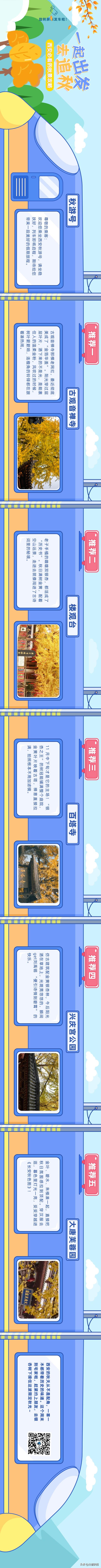 谁还没蹲到西安这棵千年银杏？