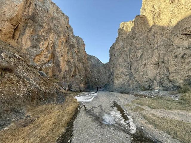 党建引航新长征 团建聚力铸铁军—吴忠文旅公司活化生态资源践初心