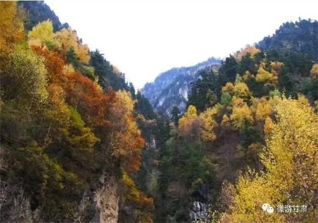康多峡秋景：一场不可错过的视觉盛宴