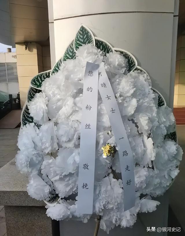 好友相继缅怀拼凑出，何晴生命最后时光：拮据、变样、舍不下儿子