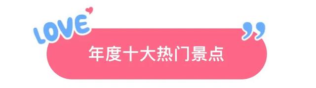 2025呼和浩特文旅高光时刻，就差你一票