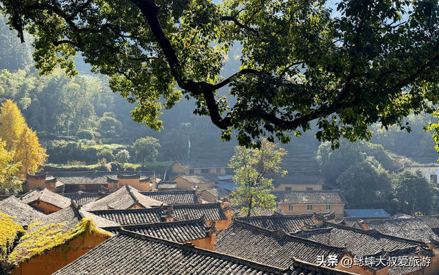 多年还保持初心的浙江古村，不愧是江南秘境，已成高质量度假地！