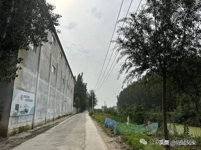 冠县乡韵·桑阿镇野场村