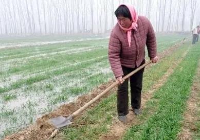 立冬下雨兆头不好？俗语“立冬下了雨，新坟遍地起”背后的真相！