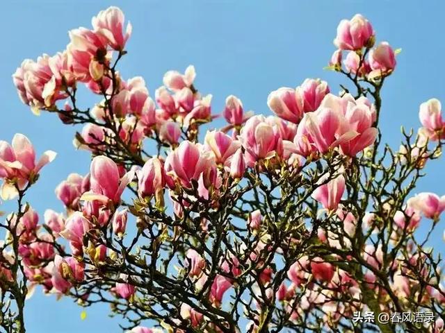 敢拉黑男人的女人,爱情面前,她们到底在想什么