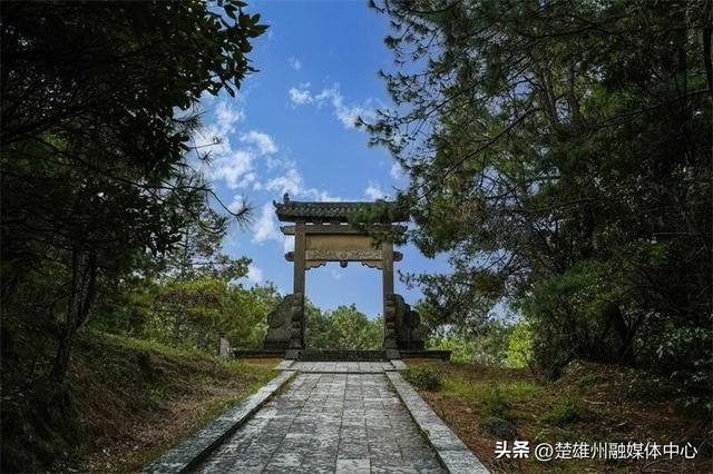 不限次入园！楚雄一景区门票年卡、优惠卡正在办理🤩