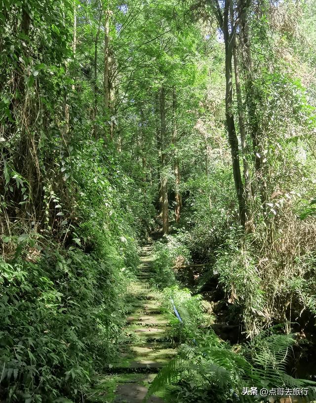 成都清凉景区秘境，最原始的古道观，像是无人知道一样，不要门票