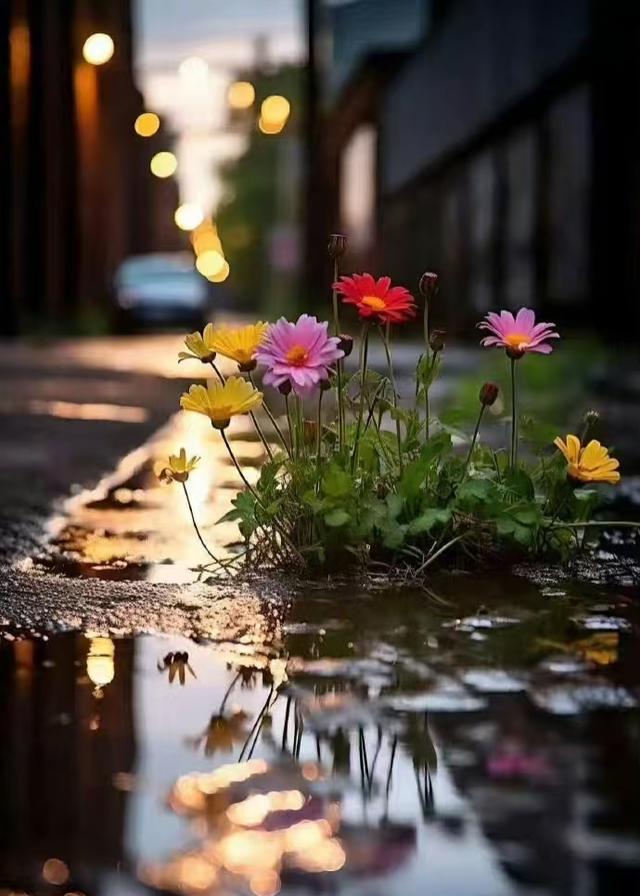 两性关系，惊人发现，60岁与异性靠近，根本不是桃花运，而是这