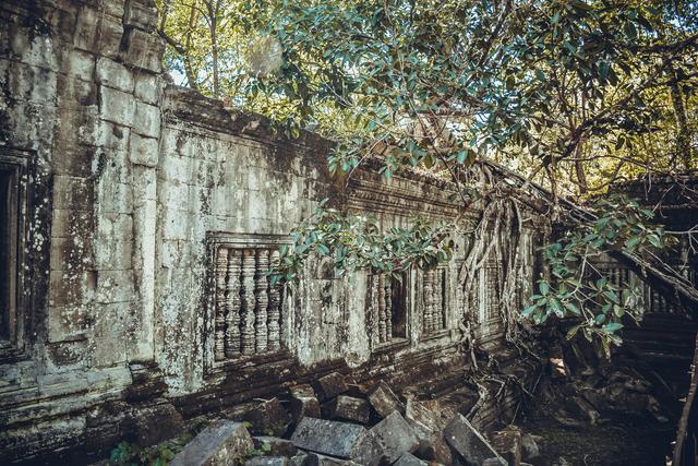 柬埔寨免签冲这处！崩密列的丛林废墟，比吴哥窟更野更出片