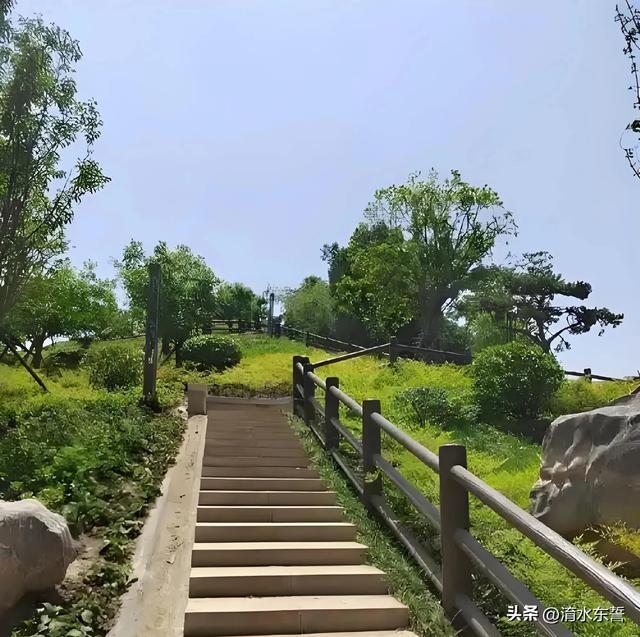 南阳申伯公园:落日熔金 秋叶簋鸣