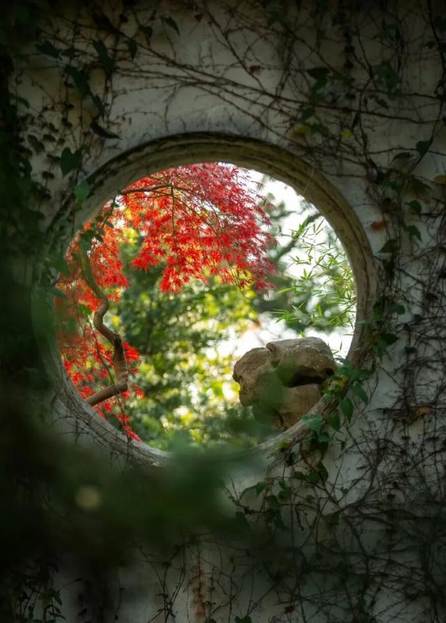 来虎丘山，这里有你更好看！