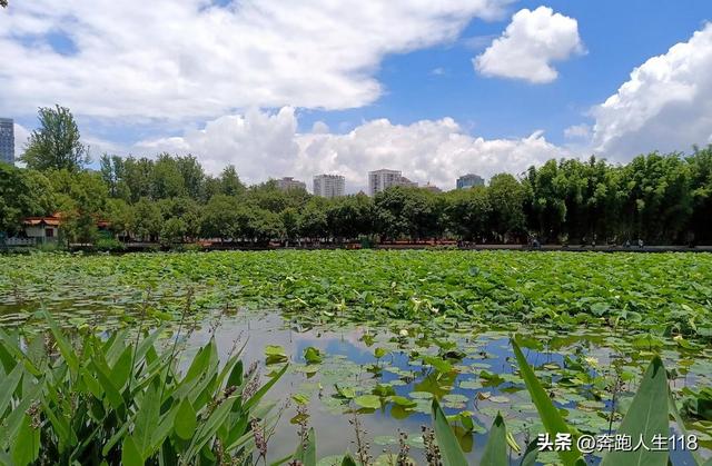 奔向雪域高原，滇藏行一:从钦州到昆明，再到楚雄