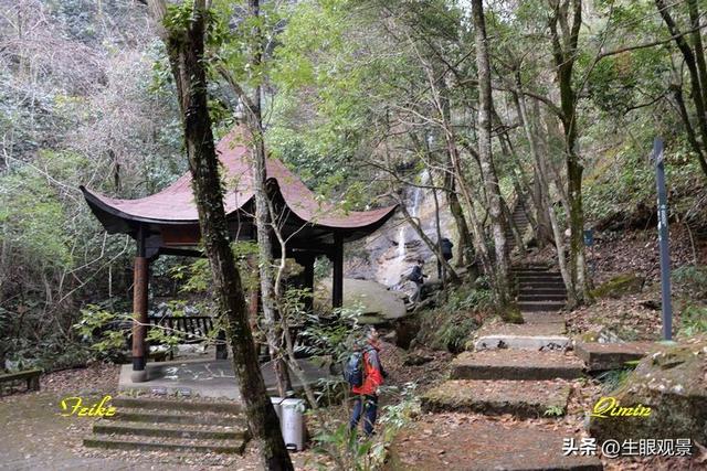 影记 | 衢州钱江源国家森林公园