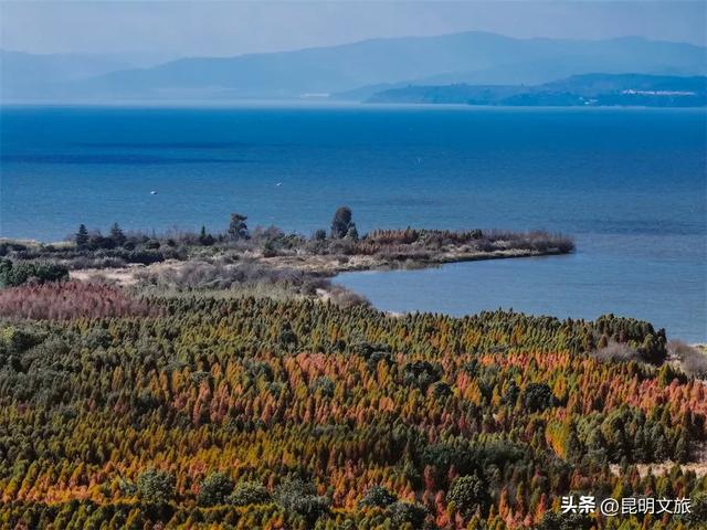 “红”爆！是谁还没有Get昆明的冬天？你知道12月的滇池有多绝？周末冲~