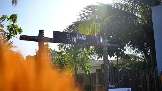 逃离冷冬！来万宁兴隆，这里25℃阳光免费