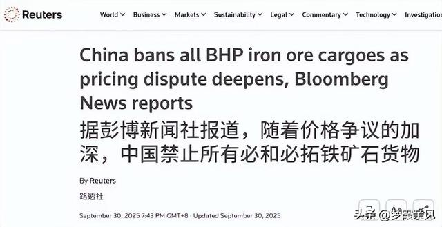 专家：中国铁矿需求撬动全球贸易规则