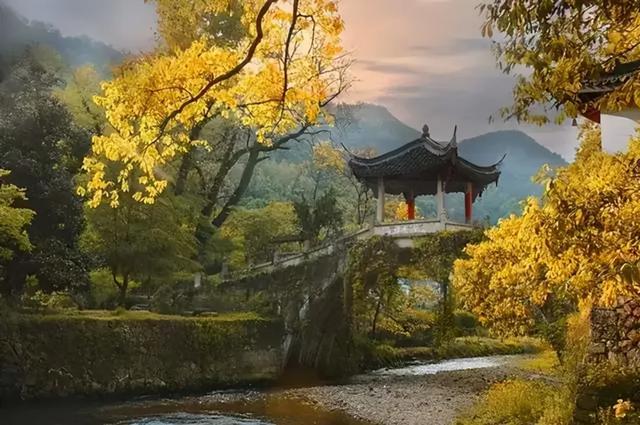 浙江金华20个最美中国传统村落，藏着婺州秀丽繁华遗风