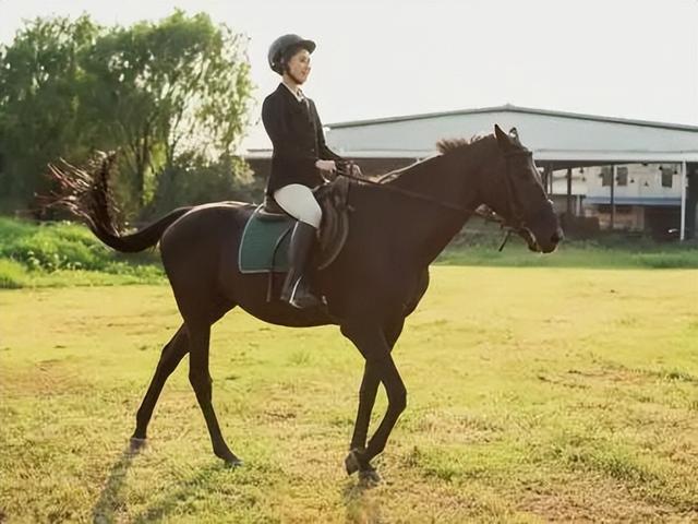 太全面了！8条游玩线路+京郊汤泉！带您玩转北京这里！（1）