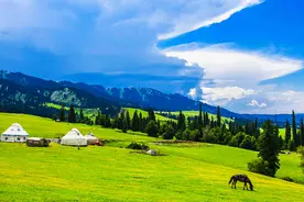 退休证=免费通行证！全国免票景点暗号大全图片