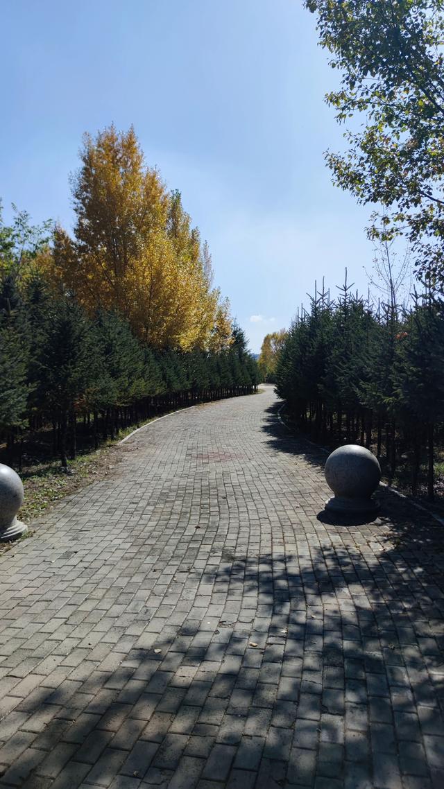 乌兰察布霸王河大桥两岸，河水缓缓流淌，两岸绿树成荫，空气清新