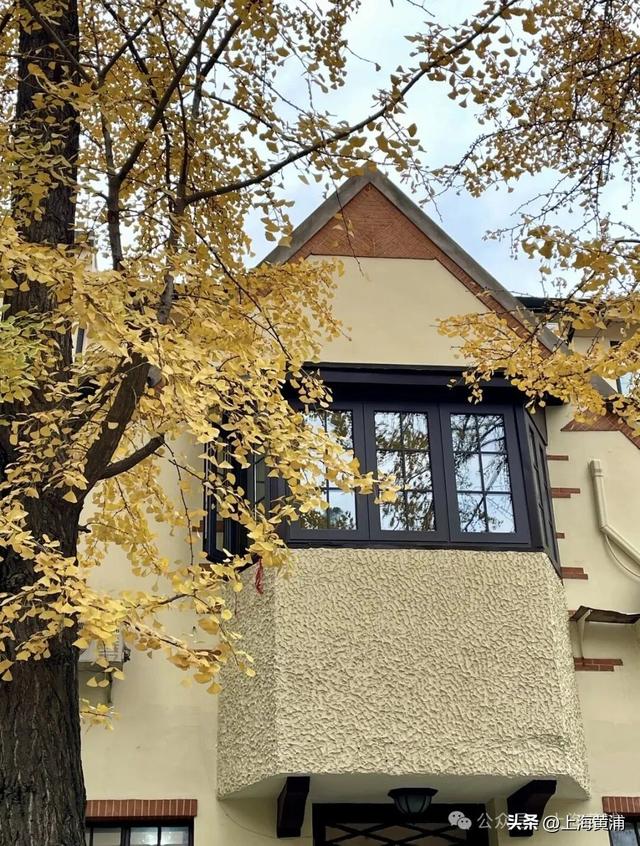 深秋限定！这条百年弄堂里尽是金色的浪漫！