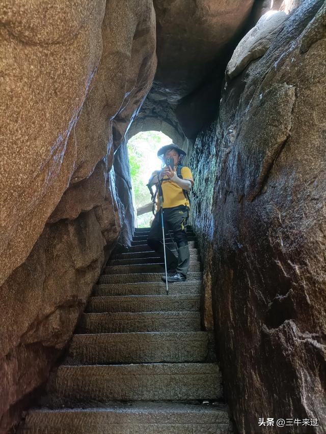 无为在歧路，避暑去鲁山