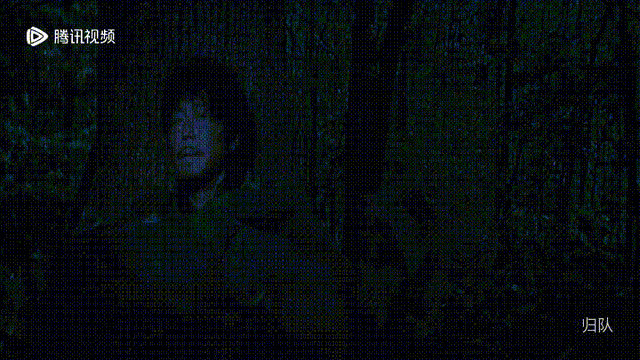 电视剧《归队》有多好看