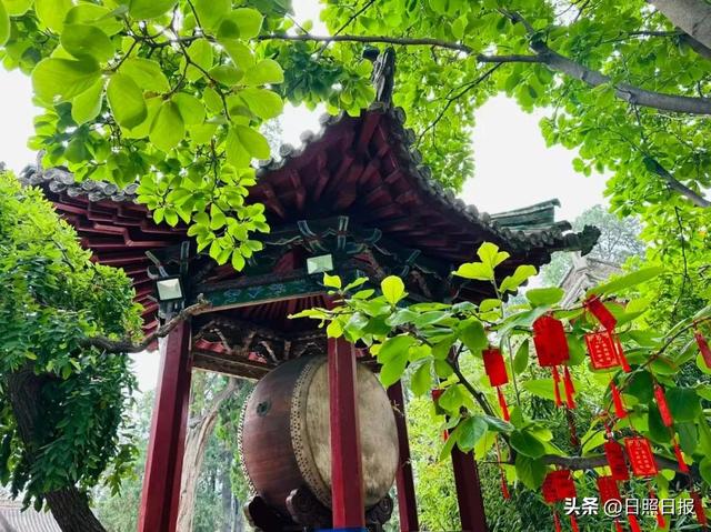 “铁腚大巴”甘南线第五站：美美与共，兼容并举让文化自信更有底气