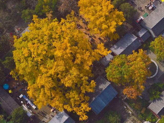 壮观！震撼！很多人都去看了！就在日照这里！