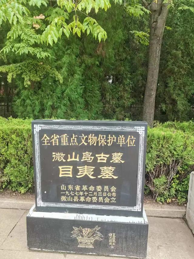 游京杭大运河济宁段（五）| 作者 顾遵亚