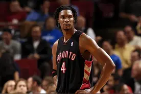 克里斯·波什表现最强的五个NBA赛季图片