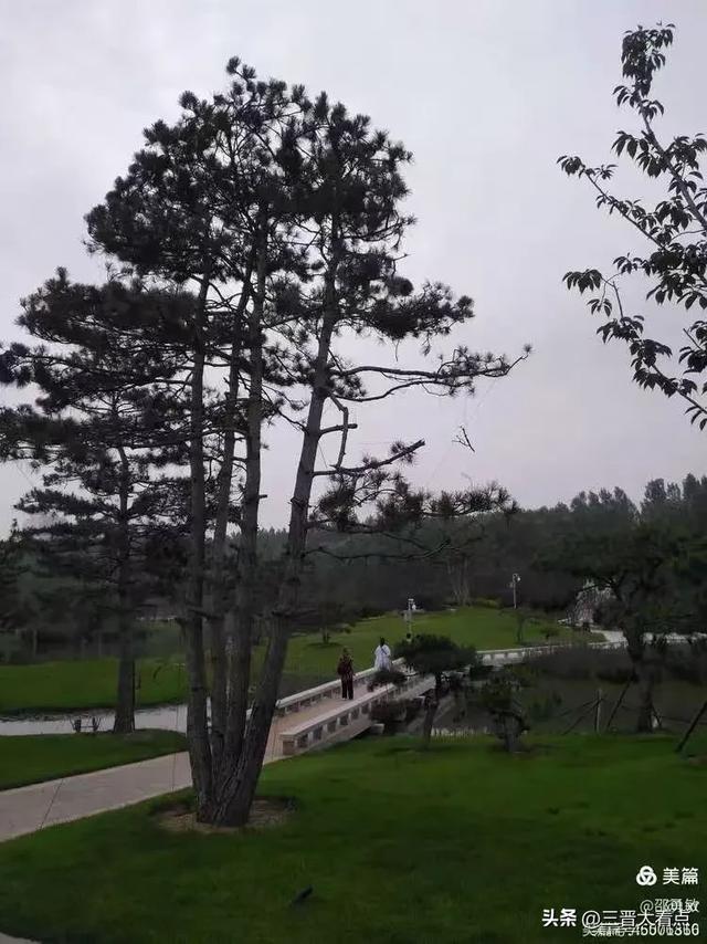 秋雨绵绵漳泽湖