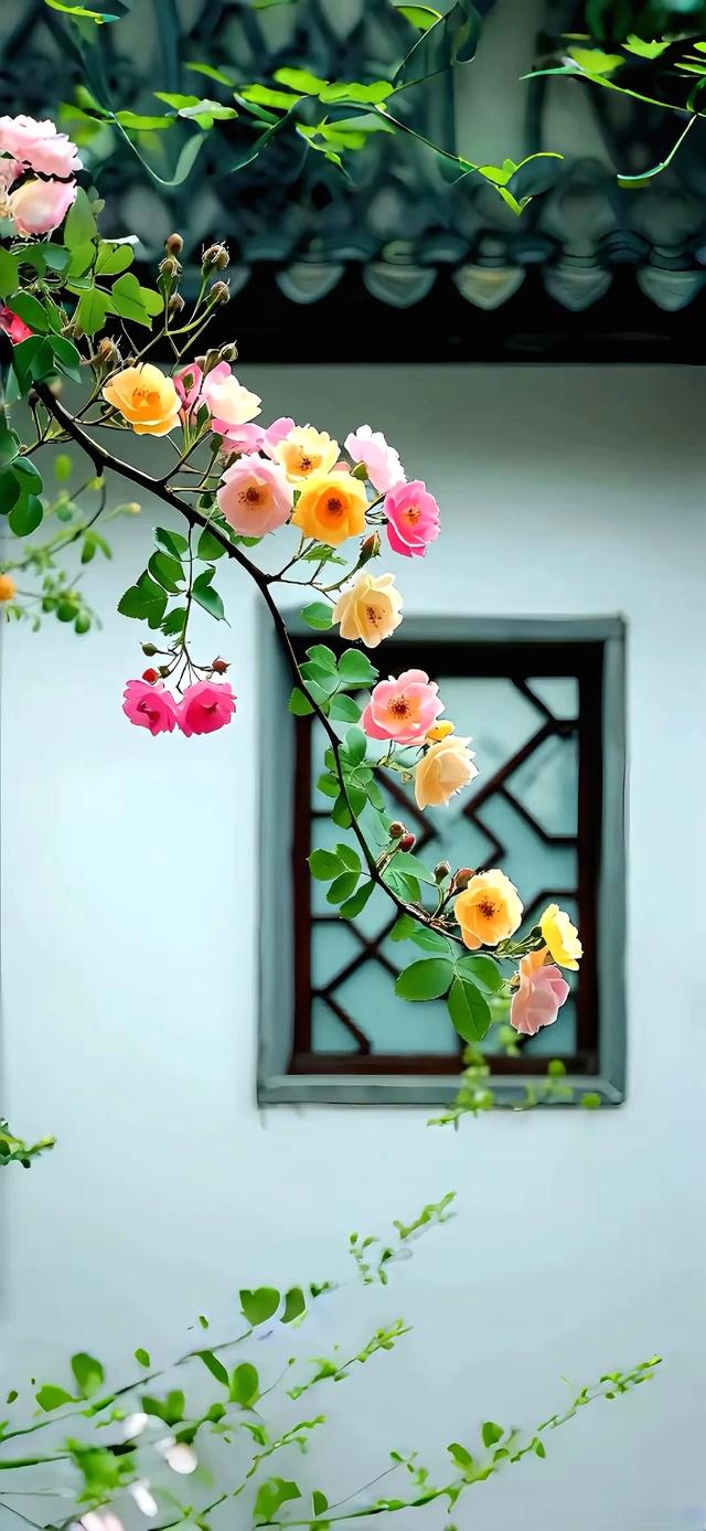 手机壁纸|治愈系的自然美景