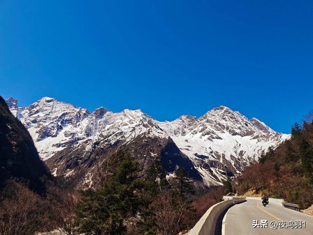 理小路环线今日风景！