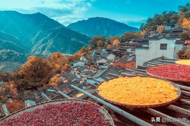 秋天，这十大红叶观赏地告诉你该去哪？