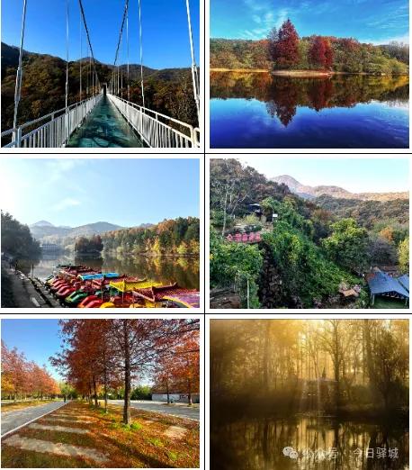 记者们快看——金顶山免门票专属权益!